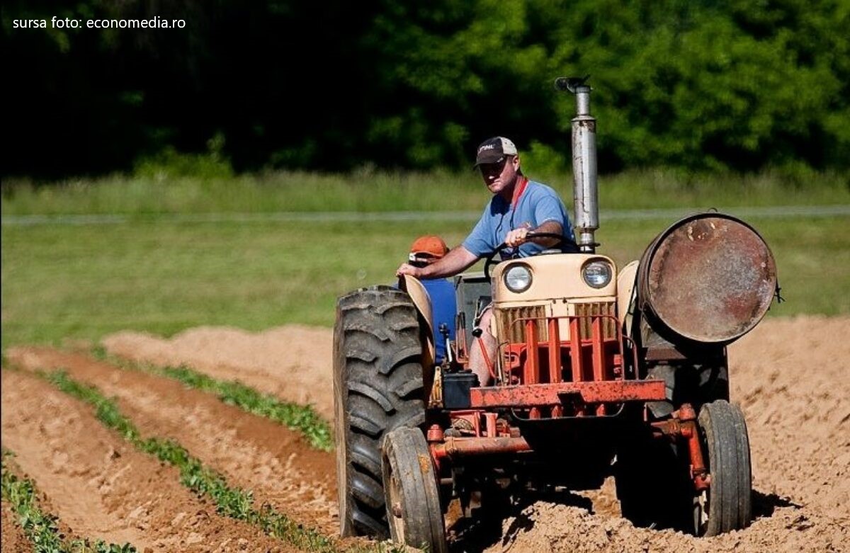 Crește salariul minim pentru angajaţii din agricultură şi industria alimentară