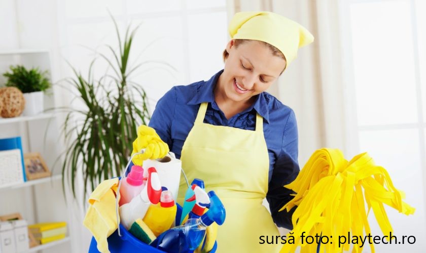 Reglementarea activităţilor casnice va aduce o serie de avantaje pentru piaţa muncii şi sistemul public de pensii